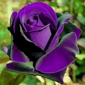 Meet your Posher, Christy